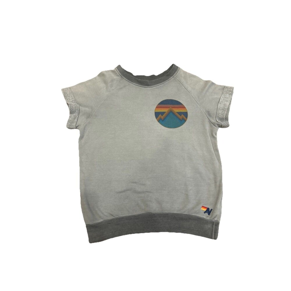 Aviator Nation Vintage Mountain Stitch Short Sleeve Crewneck Grey Medium